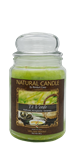 NATURE CANDLE CANDELA GIARA 580GR THE VERDE