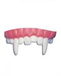 CARNIVAL DENTIERA 6508**