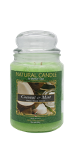 NATURE CANDLE CANDELA GIARA 580GR COCCO MENTA