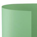 FAVINI CARTONCINO BRISTOL 50X70 25FG VERDE CHIARO