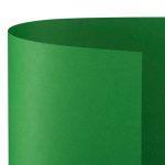 FAVINI CARTONCINO BRISTOL 50X70 25FG VERDE