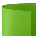 FAVINI CARTONCINO BRISTOL 70X100 10FG PISTACCHIO