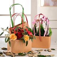 PNP SHOPPER KRAFT RECTANGLE 22X13,5+10,5 12PZ UYI98HNN