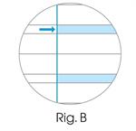 MAXI DIDATTICO PER DISLESSICI 100GR RIG.B 0122454