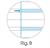 MAXI DIDATTICO PER DISLESSICI 100GR RIG.B 0122454