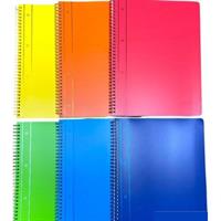 TINTA UNITA MAXI SPIRALATO PPL FORI RINFORZAT 60FG 100GR 1RIGO 61742