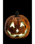 CARNIVAL HALLOWEEN ZUCCA DECORATIVA C/LUCI DIAM.16CM PILE INCL.9678