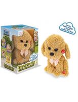 TEOREMA ISOLA DEI CUCCIOLI BARBONCINO TOY CANTA,BALLA RIPETE 80522