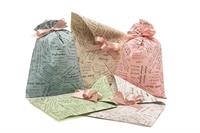 PNP SACCHETTI PPL SCRIPT 35X50 50PZ UDJ75PCC