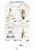 CECAMI FELICE MATRIMONIO BIGLIETTO 12PZ FE10212FM/12