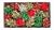 BRIZZOLARI STELLE NATALE MM10 50PZ 30365