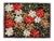 BRIZZOLARI STELLE NATALE MM15 50PZ 31360