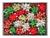 BRIZZOLARI STELLE NATALE MM15 50PZ 31365